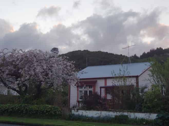 51 Wakefield Street, Featherston