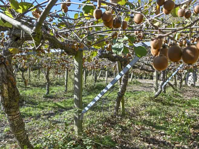 83 Richmond Road, Clive