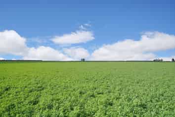 784 Wrights Road, Oxford