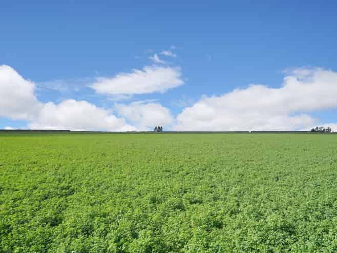 784 Wrights Road, Oxford