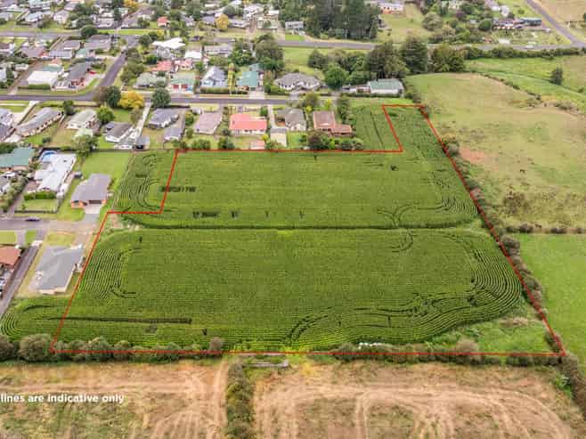 21 Coolen Place, Tuakau