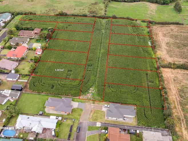 21 Coolen Place, Tuakau