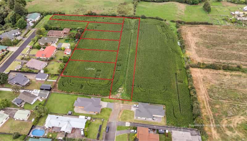 21 Coolen Place, Tuakau