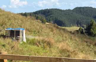 138 Wech Access Road, Makarau