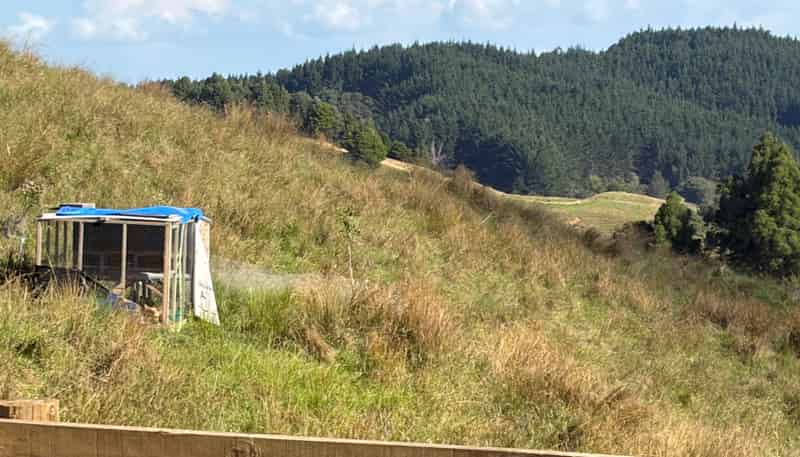 138 Wech Access Road, Makarau