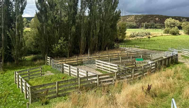 175 Stirling Road, Waikaia