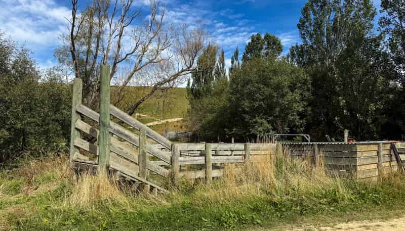 175 Stirling Road, Waikaia
