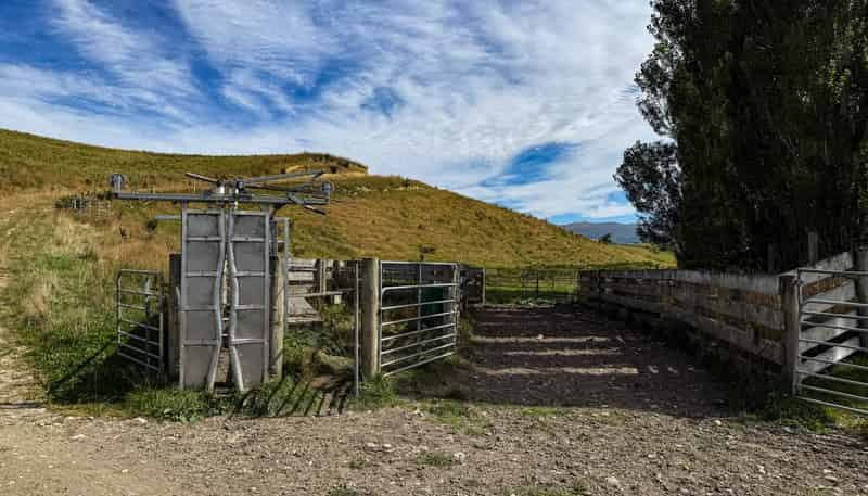 175 Stirling Road, Waikaia