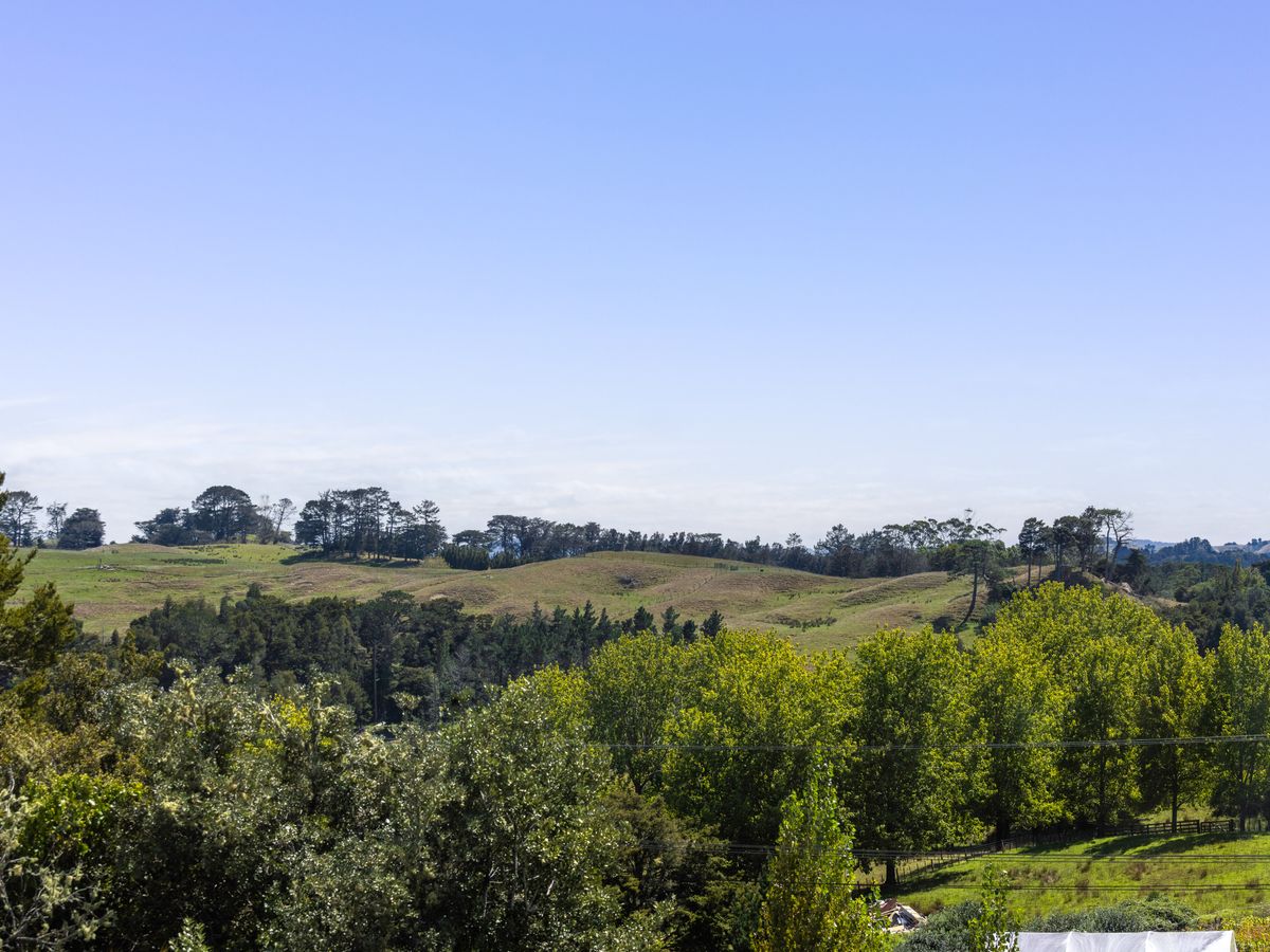 1 Watson Place, Wellsford, Rodney, Auckland - Photo 3