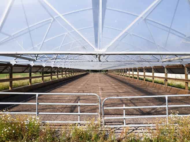 902 Avondale Road, Taringatura