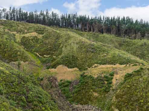 Lot 17/355 Pretoria Road, Shannon