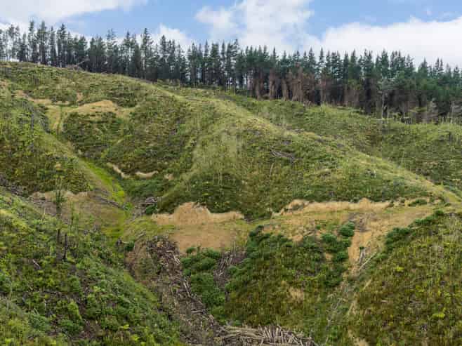 Lot 17/355 Pretoria Road, Shannon