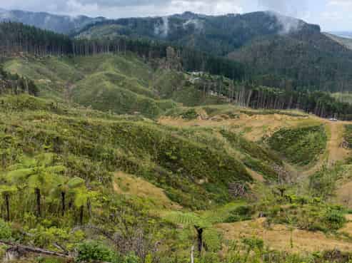 Lot 17/355 Pretoria Road, Shannon