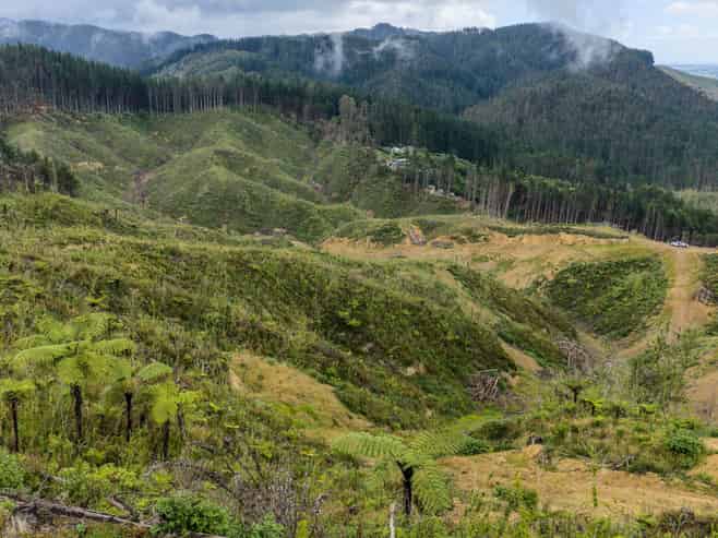 Lot 17/355 Pretoria Road, Shannon