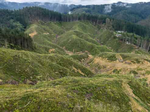 Lot 17/355 Pretoria Road, Shannon