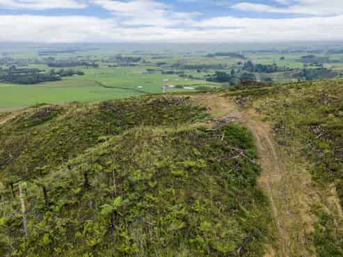 Lot 17/355 Pretoria Road, Shannon