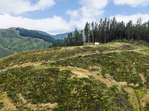 Lot 17/355 Pretoria Road, Shannon