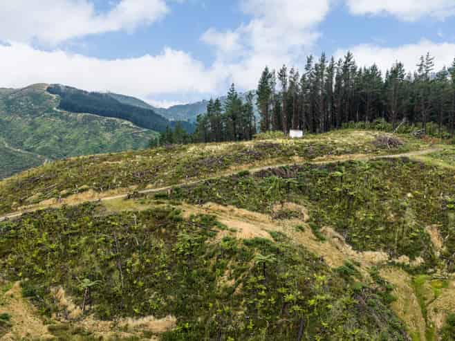 Lot 17/355 Pretoria Road, Shannon