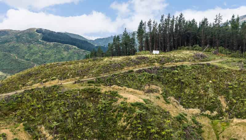 Lot 17/355 Pretoria Road, Shannon