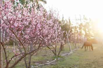 65 Butterfield Road, Hawea Flat