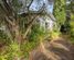243 Meola Road, Point Chevalier, Auckland City, Auckland