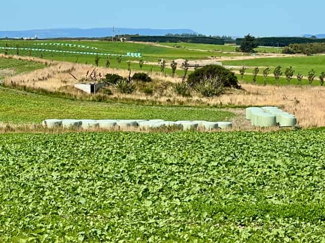 135 Orr Road, Waimatua
