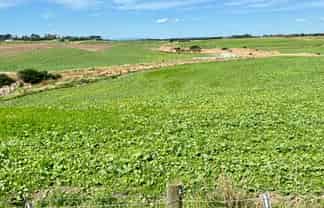 135 Orr Road, Waimatua
