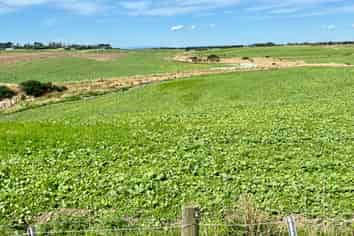 135 Orr Road, Waimatua