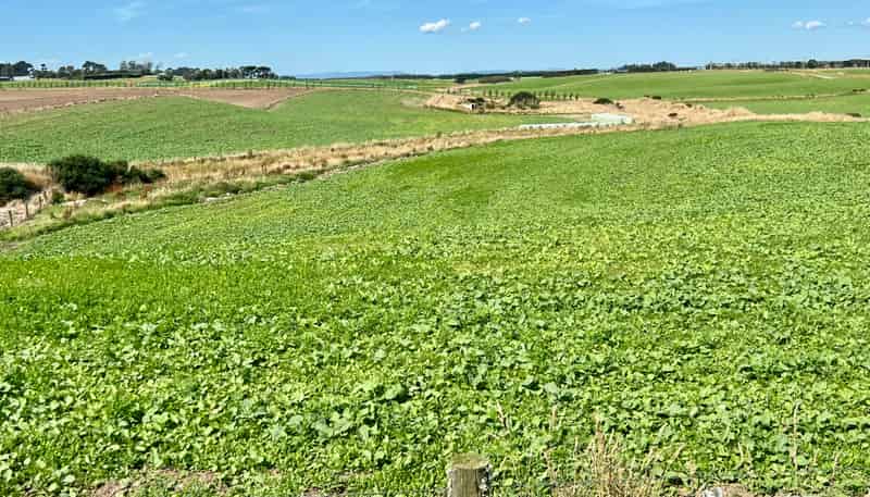 135 Orr Road, Waimatua