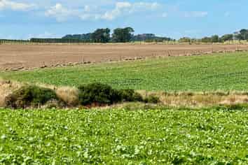 135 Orr Road, Waimatua