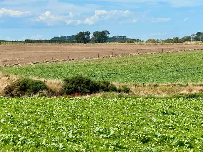 135 Orr Road, Waimatua