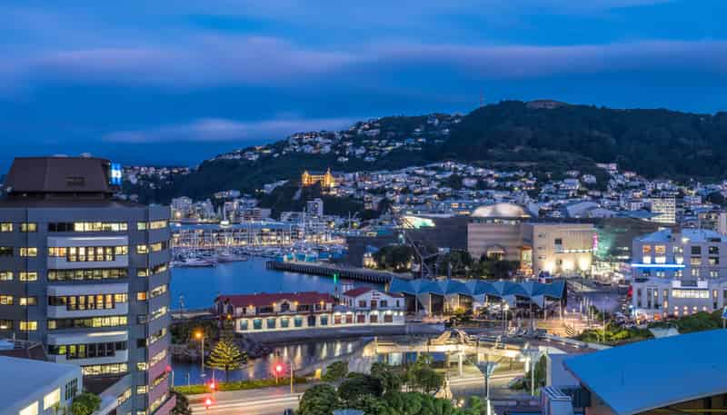 11F/9 Chews Lane, Wellington Central