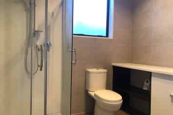 52 Killarney Drive, Flat Bush