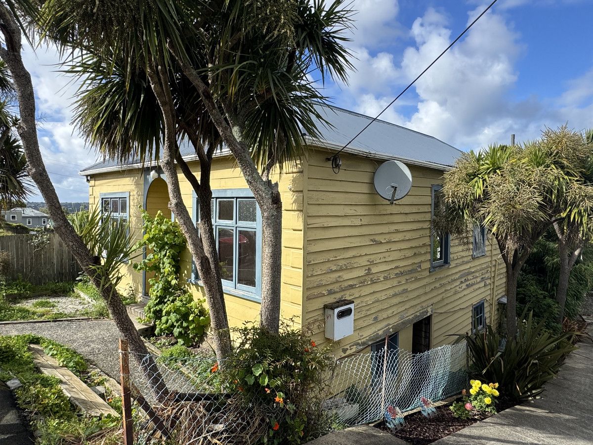 89 Elm Row, Dunedin Central, Dunedin City, Otago - Photo 2