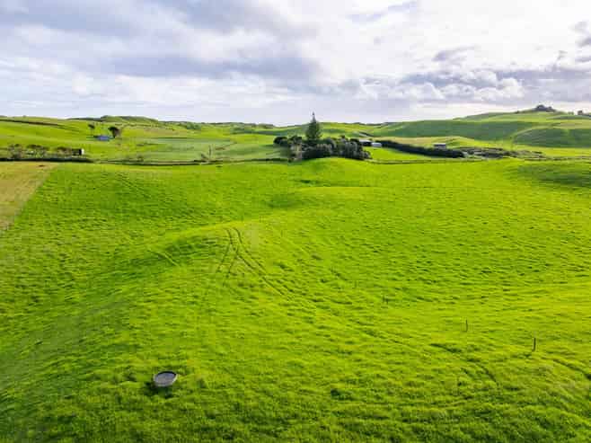  Lots 2, 3 and 4 Mahuta Road, Dargaville