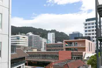 85/43 Mulgrave Street, Thorndon