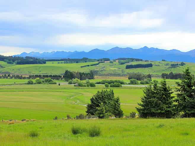 105 Lynwood Road, Hillside