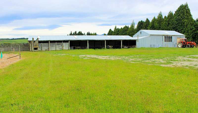 105 Lynwood Road, Te Anau