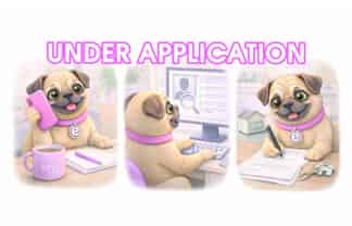 7 Whitestone crescent , Weston