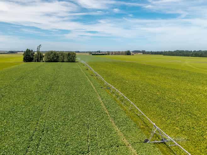 83 Highfield Road, Dunsandel