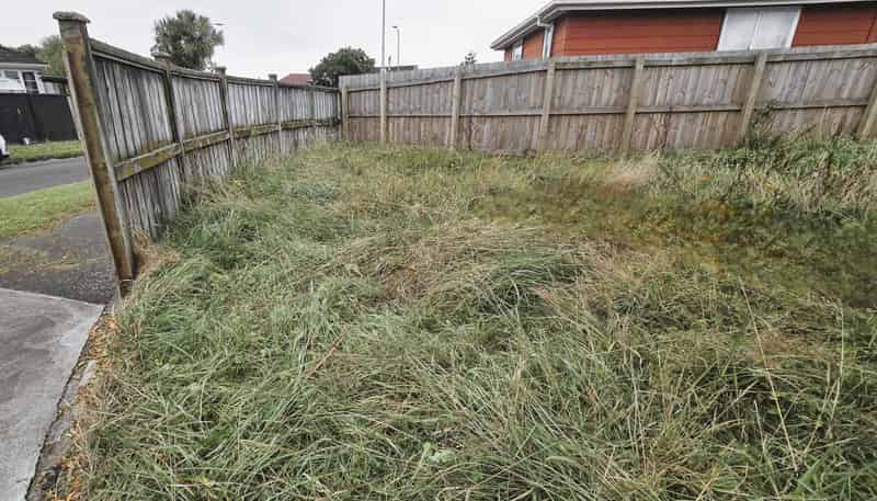 3 Hinton Place, Roslyn