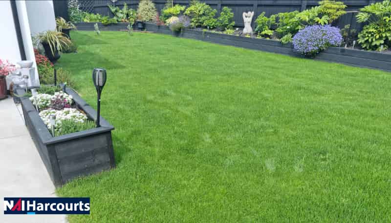 Lawn Care Business, Rolleston