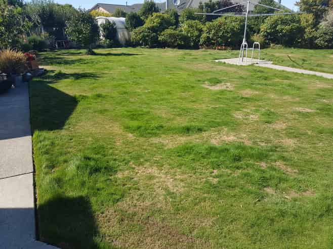 Where the Grass is always Greener