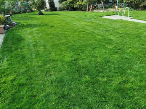 Where the Grass is always Greener