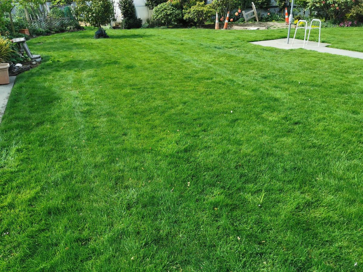 Where the Grass is always Greener - Ansicht 3