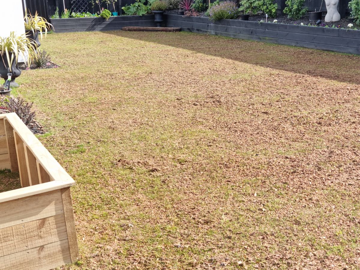 Where the Grass is always Greener - Ansicht 2