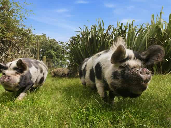 1292 Oropi Road, Oropi