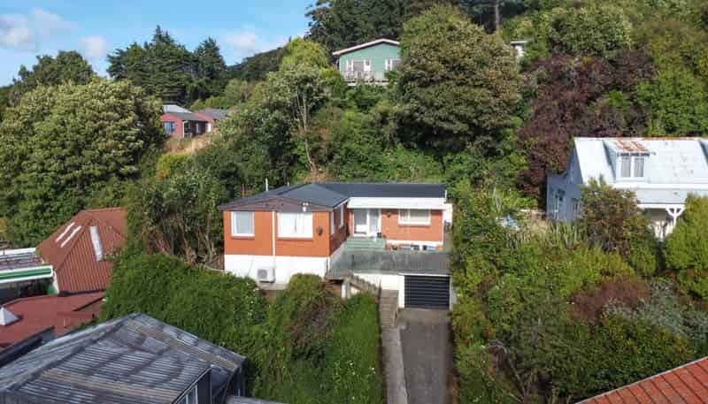 3 Lees Street, Dunedin Central
