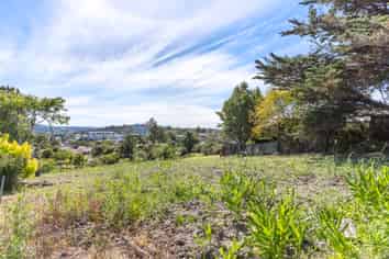 1 Pleasant Road, Glen Eden