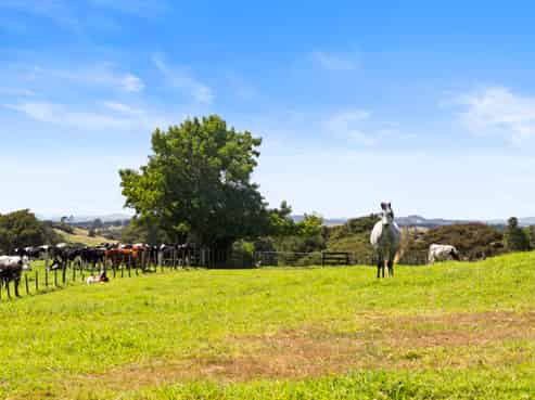 1761 Highway 22, Pukekawa